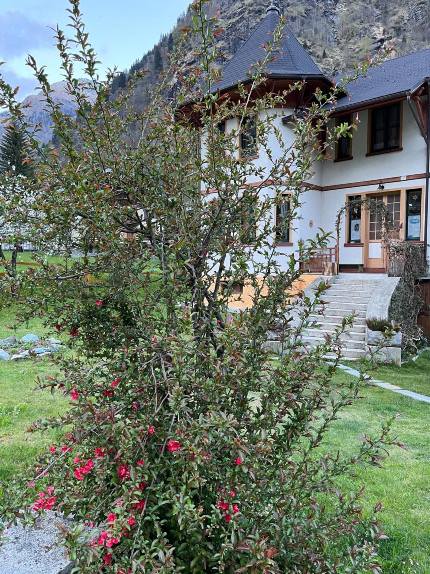L'Aria Di Casa Bed & Breakfast Alagna Valsesia Ngoại thất bức ảnh