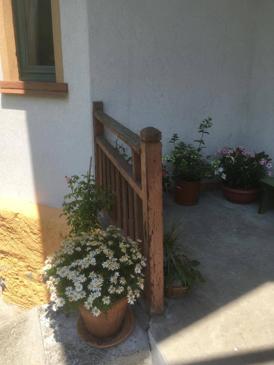 L'Aria Di Casa Bed & Breakfast Alagna Valsesia Ngoại thất bức ảnh